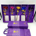 Rosa Eterna 24K