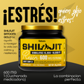 SATOOMI GOLD: La Evolución de la Resina de Shilajit (Fórmula Híbrida) 🏔️⭐