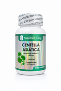 Centella Asiática: El Secreto Milenario para una Piel Firme y Circulación Activa 🌿✨